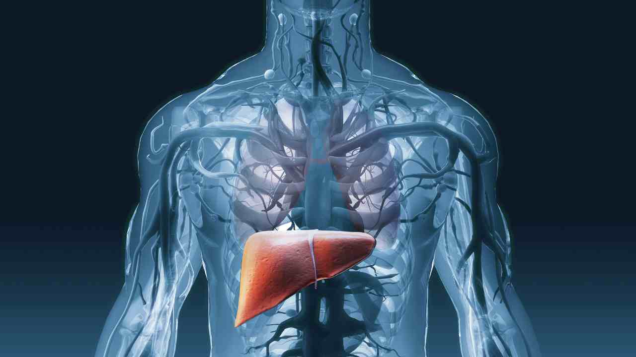 Unveiling the Spectrum of Hepatitis: From Acute Onset to Chronic Burden